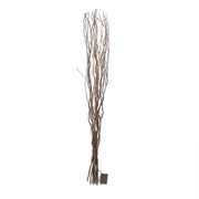 Light Up Willow Twigs Bunch, 80 LED Battery Operated 1.2M Branches 120cm tall in Cream, Black Brown, Silver Or Gold